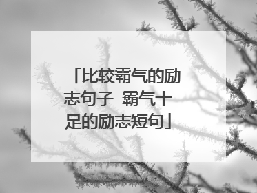 比较霸气的励志句子 霸气十足的励志短句