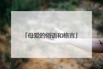 母爱的俗语和格言