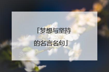 梦想与坚持的名言名句