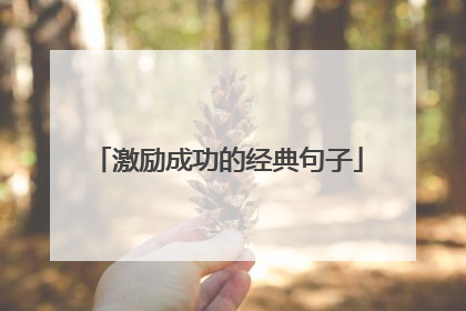 激励成功的经典句子