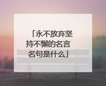 永不放弃坚持不懈的名言名句是什么