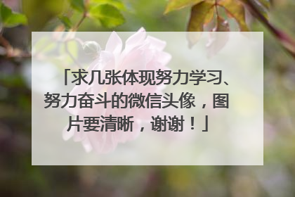 求几张体现努力学习、努力奋斗的微信头像，图片要清晰，谢谢！