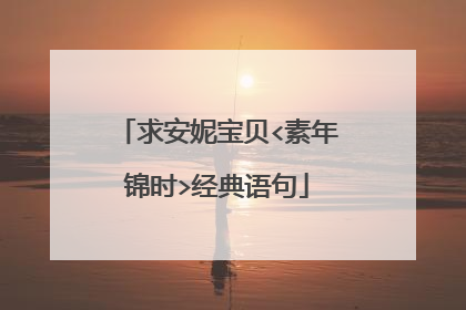 求安妮宝贝<素年锦时>经典语句