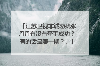 江苏卫视非诚勿扰张丹丹有没有牵手成功？有的话是哪一期？、