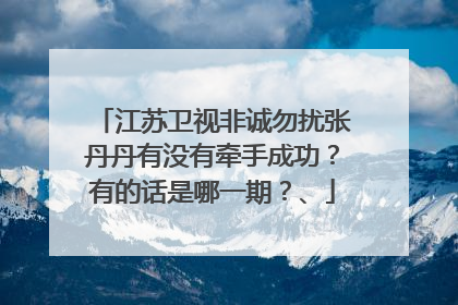 江苏卫视非诚勿扰张丹丹有没有牵手成功？有的话是哪一期？、