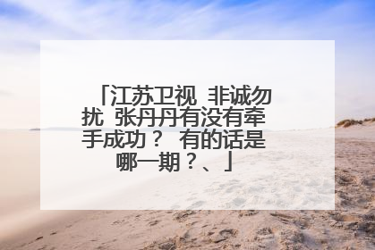 江苏卫视 非诚勿扰 张丹丹有没有牵手成功？ 有的话是哪一期？、