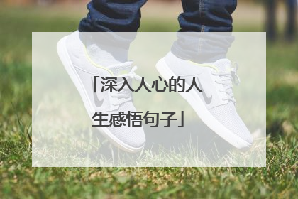 深入人心的人生感悟句子