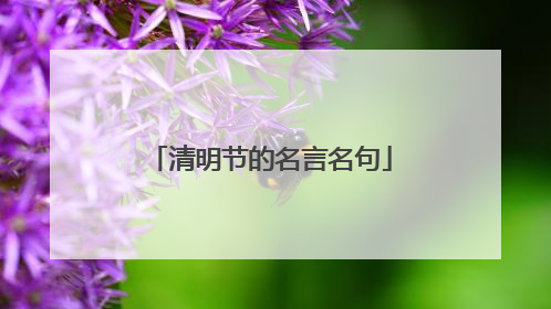 清明节的名言名句