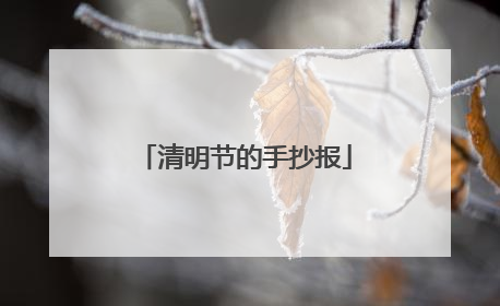 清明节的手抄报