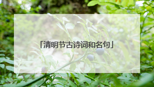 清明节古诗词和名句