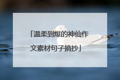 温柔到爆的神仙作文素材句子摘抄