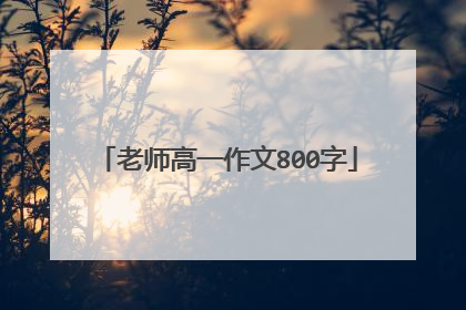 老师高一作文800字