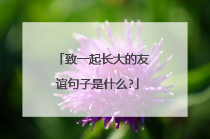 致一起长大的友谊句子是什么?