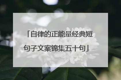 自律的正能量经典短句子文案锦集五十句