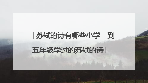 苏轼的诗有哪些小学一到五年级学过的苏轼的诗