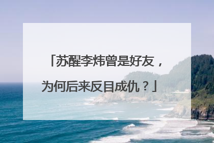 苏醒李炜曾是好友，为何后来反目成仇？