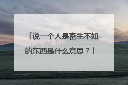 说一个人是畜生不如的东西是什么意思？