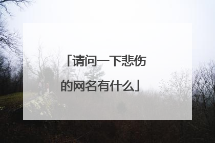 请问一下悲伤的网名有什么