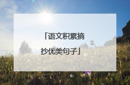 语文积累摘抄优美句子