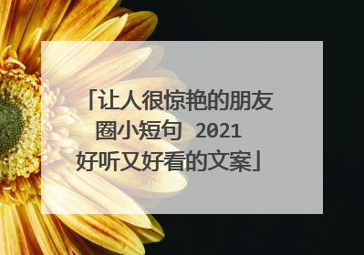 让人很惊艳的朋友圈小短句 2021好听又好看的文案