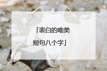 表白的唯美短句八个字