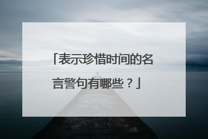 表示珍惜时间的名言警句有哪些？