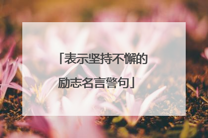 表示坚持不懈的励志名言警句