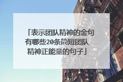 表示团队精神的金句有哪些20条简短团队精神正能量的句子