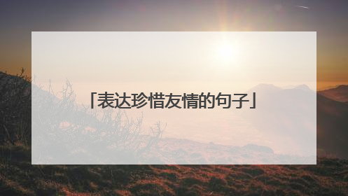 表达珍惜友情的句子