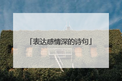 表达感情深的诗句