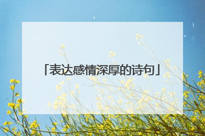 表达感情深厚的诗句