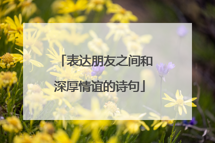 表达朋友之间和深厚情谊的诗句