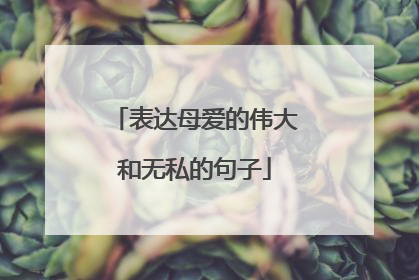 表达母爱的伟大和无私的句子