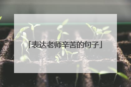 表达老师辛苦的句子