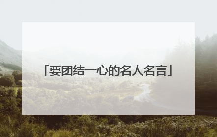 要团结一心的名人名言