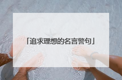 追求理想的名言警句