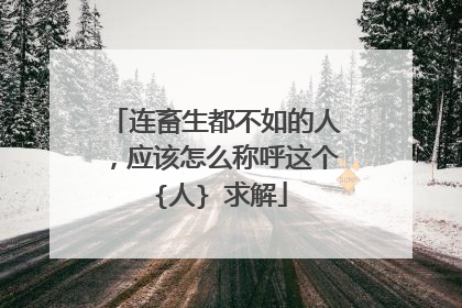 连畜生都不如的人，应该怎么称呼这个 {人} 求解