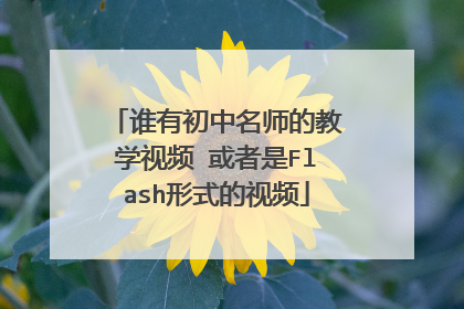 谁有初中名师的教学视频 或者是Flash形式的视频