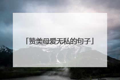 赞美母爱无私的句子