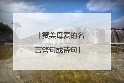 赞美母爱的名言警句或诗句