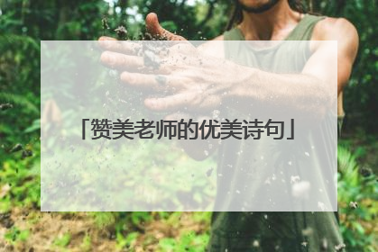 赞美老师的优美诗句