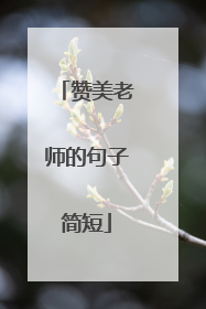 赞美老师的句子简短