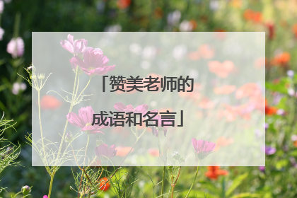 赞美老师的成语和名言