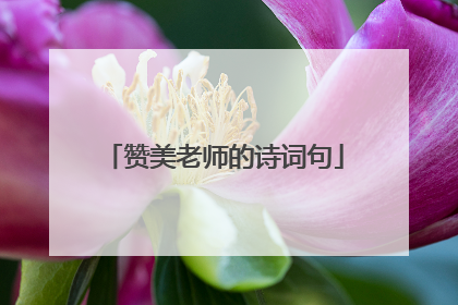 赞美老师的诗词句