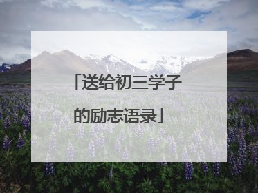 送给初三学子的励志语录