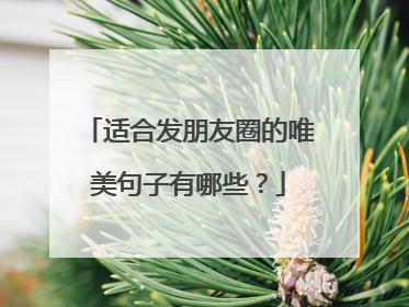 适合发朋友圈的唯美句子有哪些？