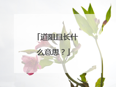 道阻且长什么意思？