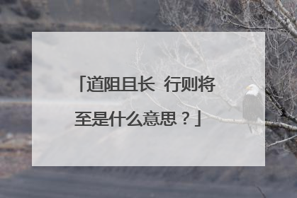 道阻且长 行则将至是什么意思？