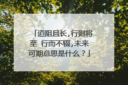 道阻且长,行则将至 行而不辍,未来可期意思是什么？