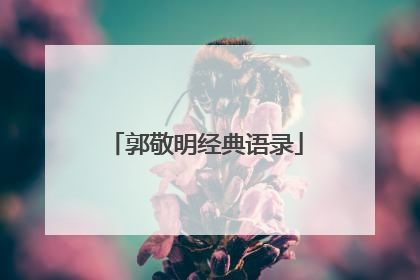 郭敬明经典语录